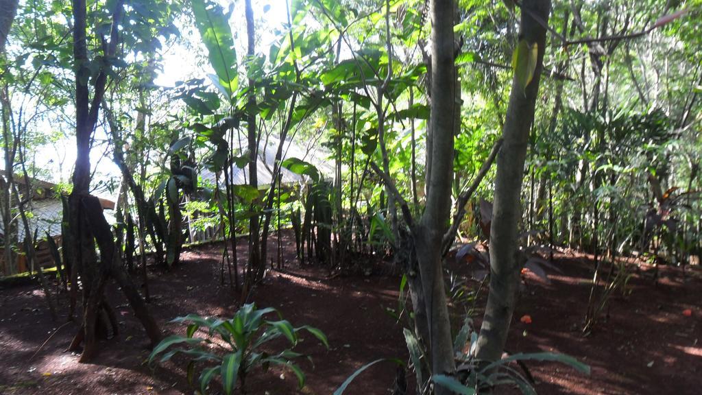 Panambi Lodge B&B Puerto Iguazu Ngoại thất bức ảnh
