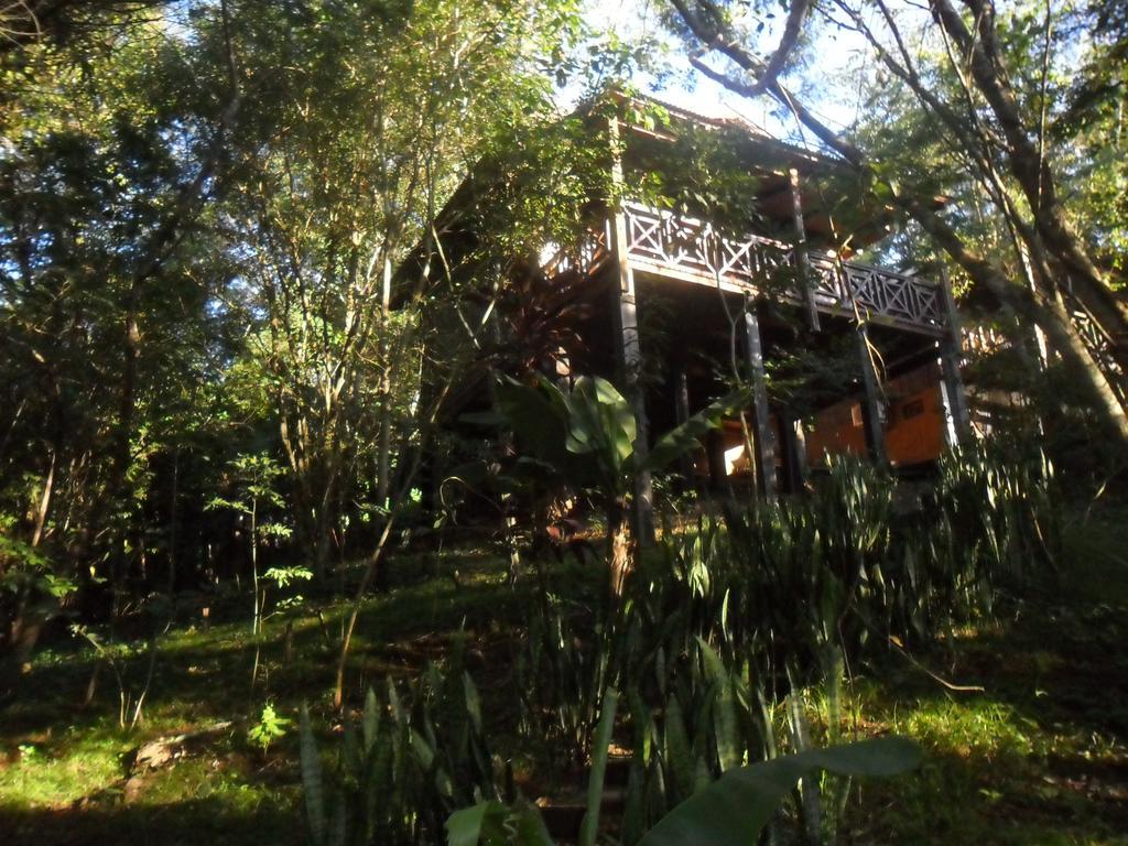 Panambi Lodge B&B Puerto Iguazu Ngoại thất bức ảnh
