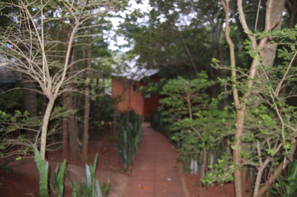 Panambi Lodge B&B Puerto Iguazu Ngoại thất bức ảnh