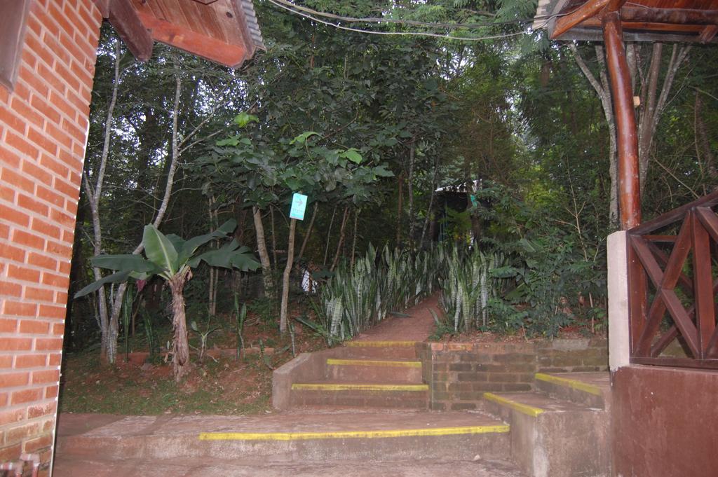 Panambi Lodge B&B Puerto Iguazu Ngoại thất bức ảnh