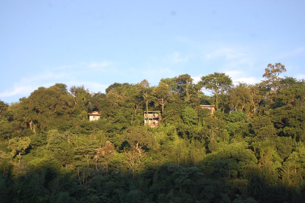 Panambi Lodge B&B Puerto Iguazu Ngoại thất bức ảnh