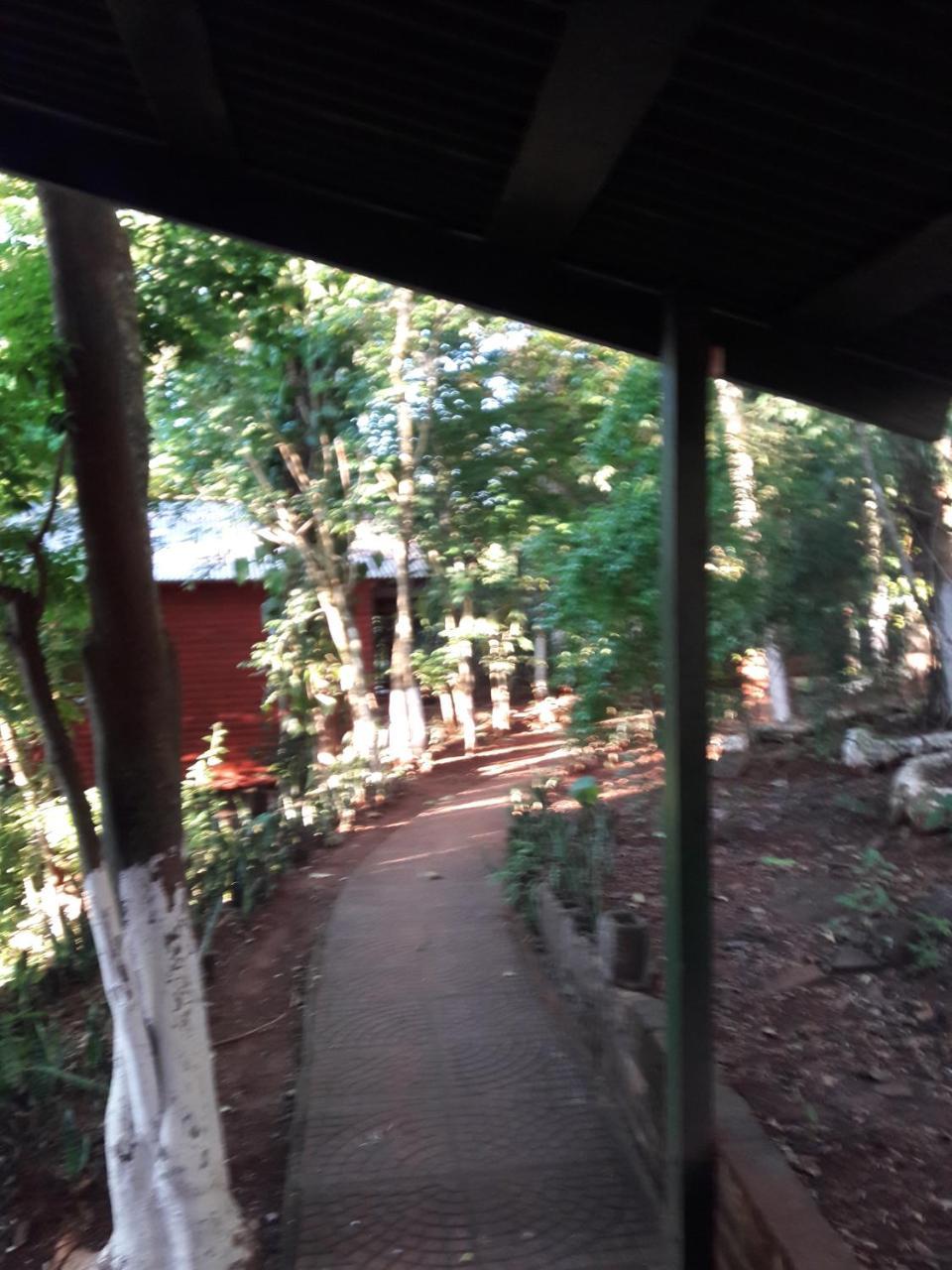 Panambi Lodge B&B Puerto Iguazu Ngoại thất bức ảnh